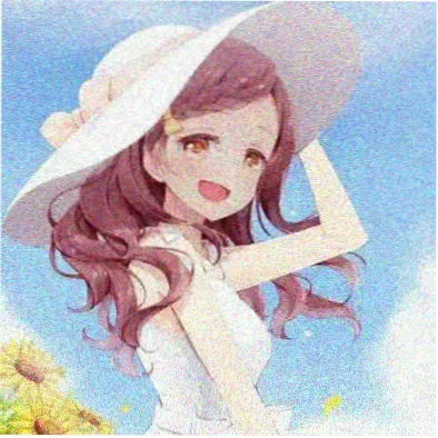 芦苇 的头像